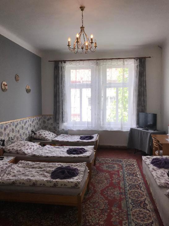 Penzion Rajf Krnov Extérieur photo